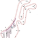 Illustration for article titled Driving A Brand New Race Track